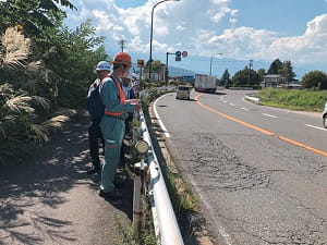 詳細調査プロジェクト
